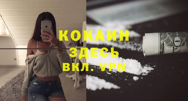 мяу мяу мука Алзамай